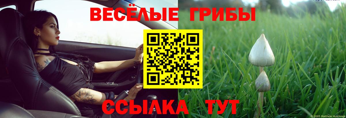 купить наркотики цена  Вход с VPN  Осинники  Галлюциногенные грибы Psilocybe 